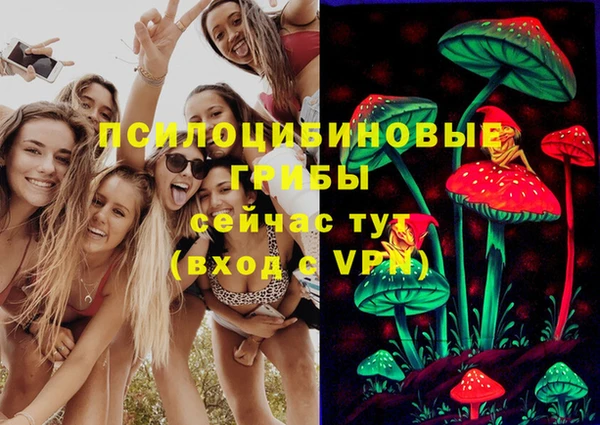 гидропоника Аркадак