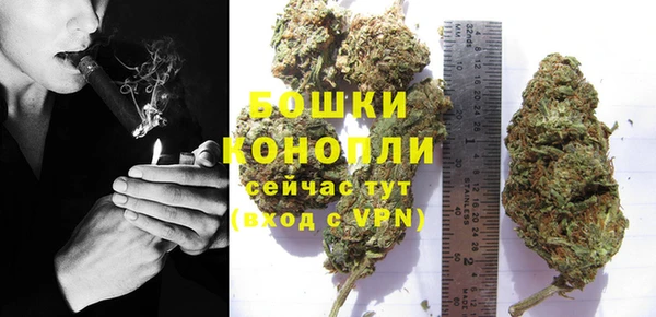 соль ск Ельня