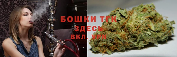 ГАЛЛЮЦИНОГЕННЫЕ ГРИБЫ Арсеньев