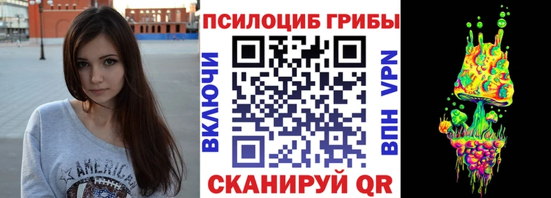 где найти наркотики  OMG зеркало  Псилоцибиновые грибы Cubensis  Полярные Зори 